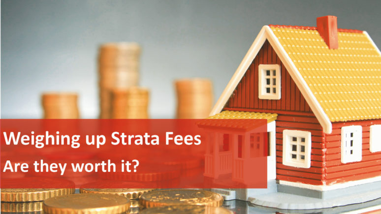 We Love Rentals Weighing Up Strata Fees