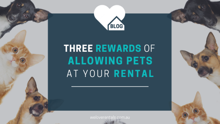 three rewards of allowing pets at your rental