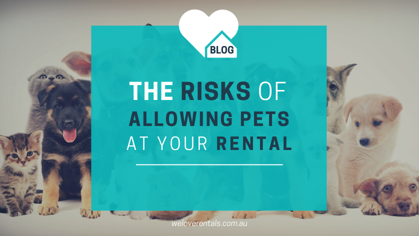 risks of allowing pets at your rental 2