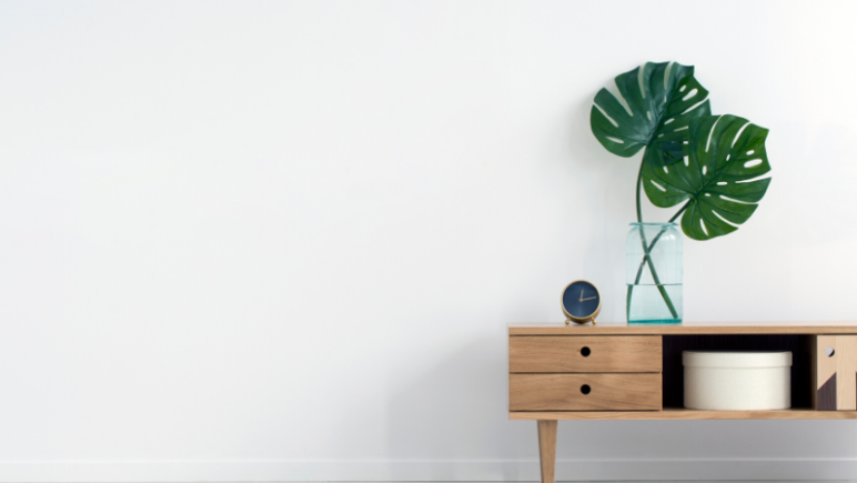 6 low maintenance indoor plants to improve your mental health monstera deliciosa