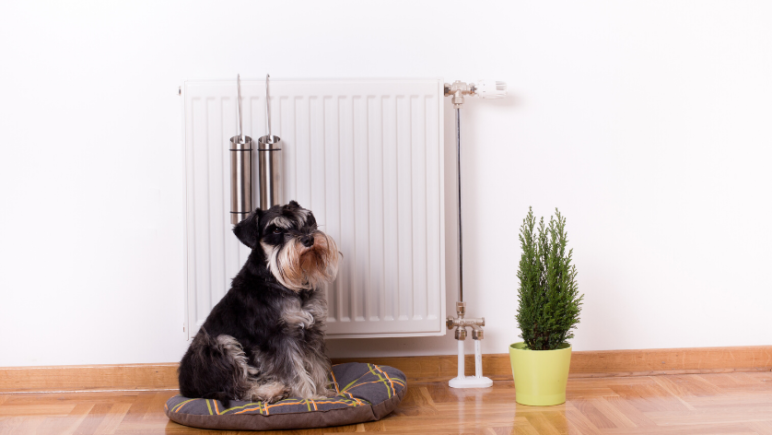 prepare your perth rental 3. Service and CO2 Test Your Inbuilt Gas Heater