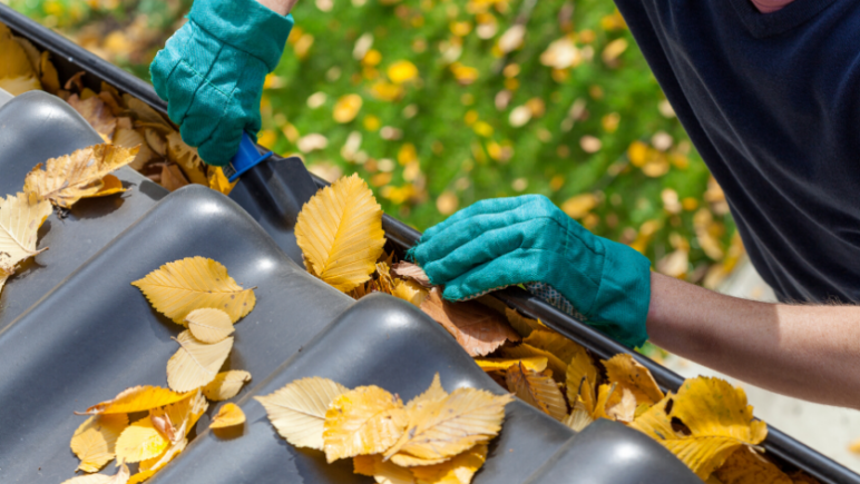 5 winter tasks to prepare your perth rental clean your gutters