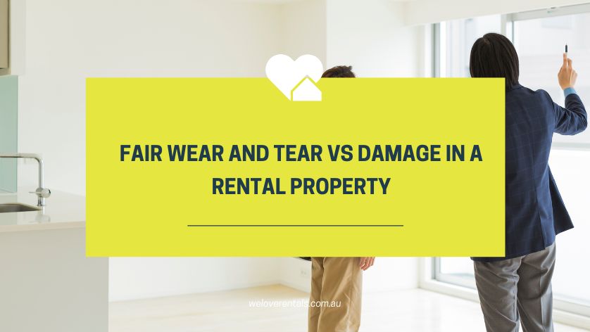 Normal Wear and Tear vs. Property Damage